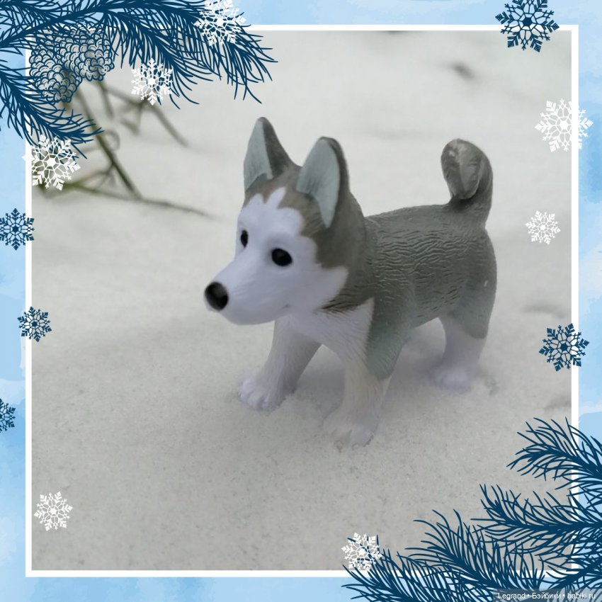 Санкт-Петербург. Январь: Милош в Парадном квартале-2 | Бэйбики Санкт-Петербург. Январь: Милош в Парадном квартале-2