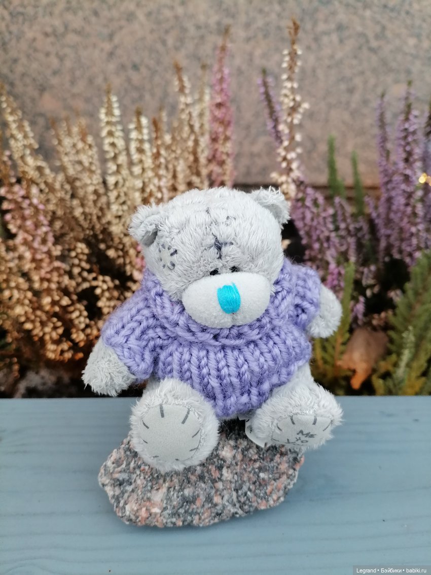 Санкт-Петербург. Январь: Барыш на прогулке (фото 9)