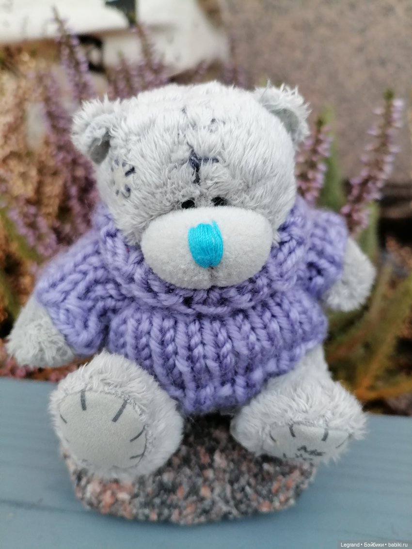 Санкт-Петербург. Январь: Барыш на прогулке (фото 6)