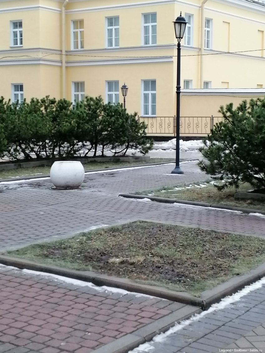 Санкт-Петербург. Январь: Барыш на прогулке