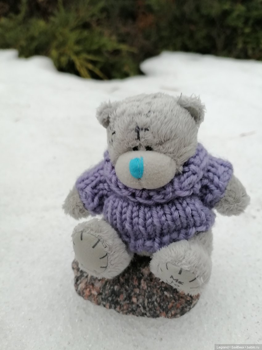 Санкт-Петербург. Январь: Барыш на прогулке