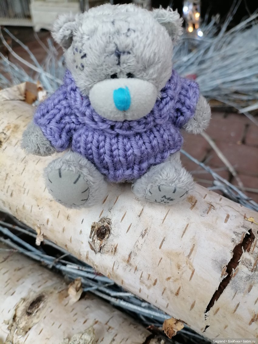 Санкт-Петербург. Январь: Барыш на прогулке (фото 4)