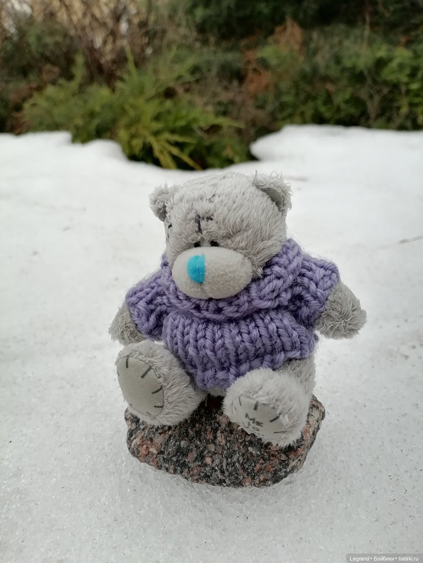 Санкт-Петербург. Январь: Барыш на прогулке