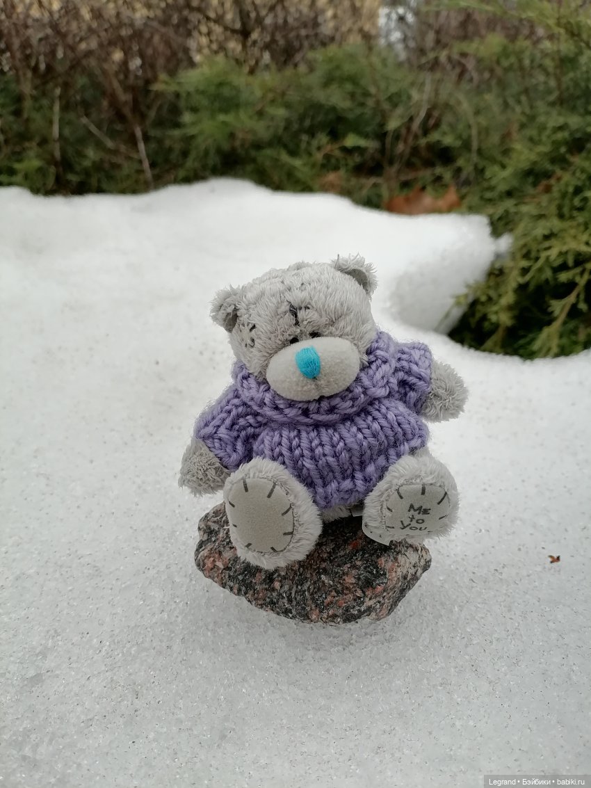 Санкт-Петербург. Январь: Барыш на прогулке