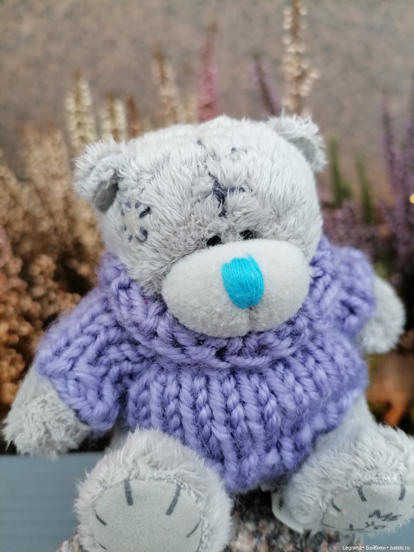 Санкт-Петербург. Январь: Барыш на прогулке