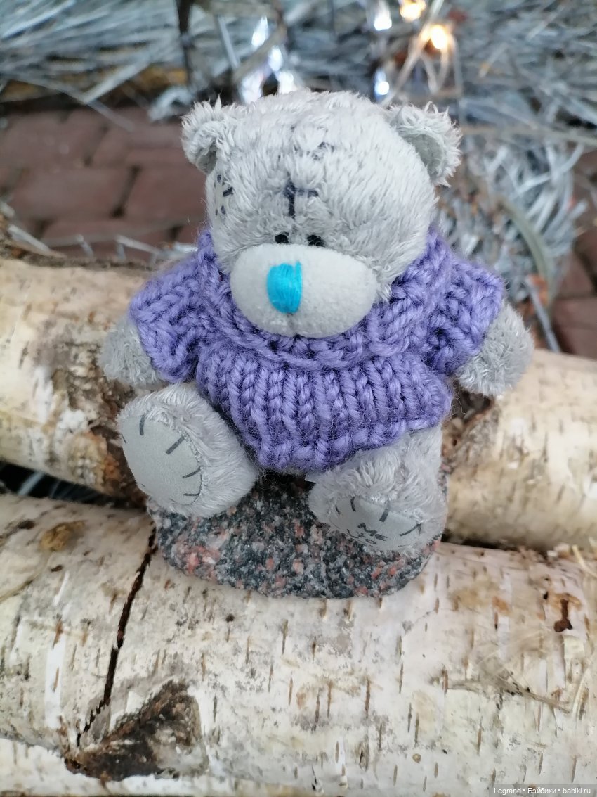 Санкт-Петербург. Январь: Барыш на прогулке (фото 5)