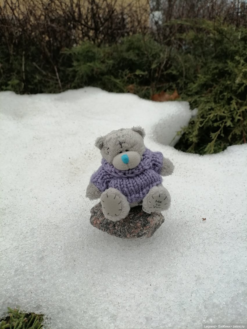 Санкт-Петербург. Январь: Барыш на прогулке