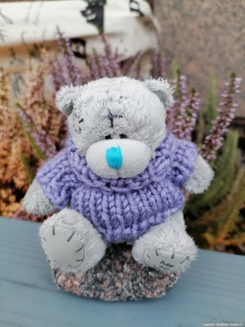 Санкт-Петербург. Январь: Барыш на прогулке (фото 7)