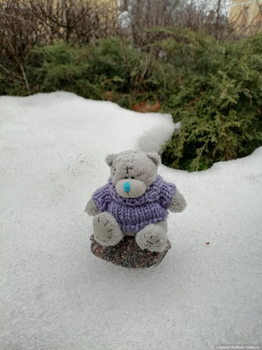 Санкт-Петербург. Январь: Барыш на прогулке