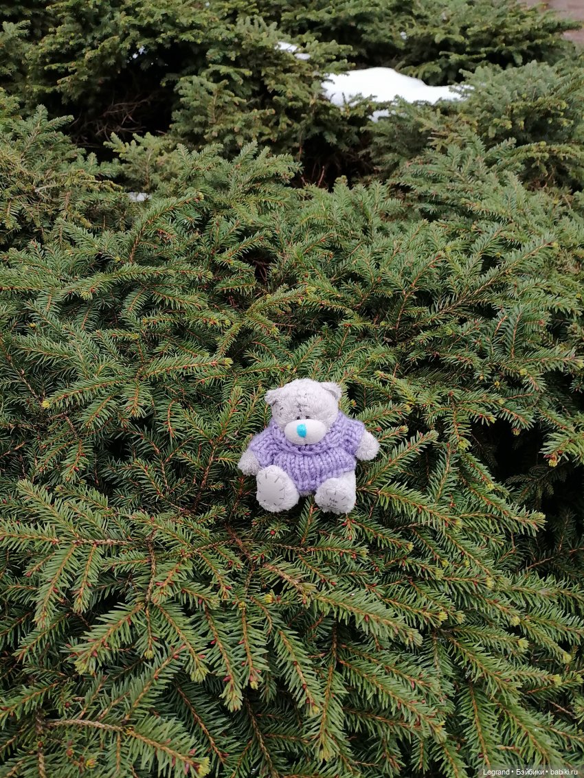 Санкт-Петербург. Январь: Барыш на прогулке