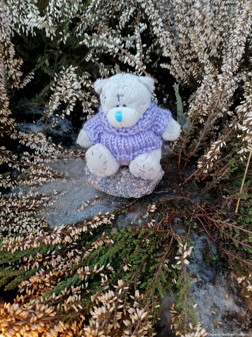 Санкт-Петербург. Январь: Барыш на прогулке (фото 3)