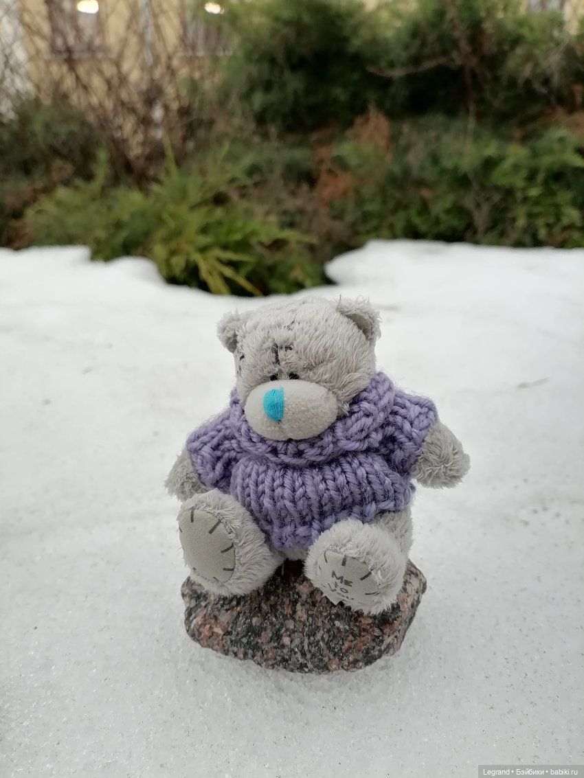 Санкт-Петербург. Январь: Барыш на прогулке