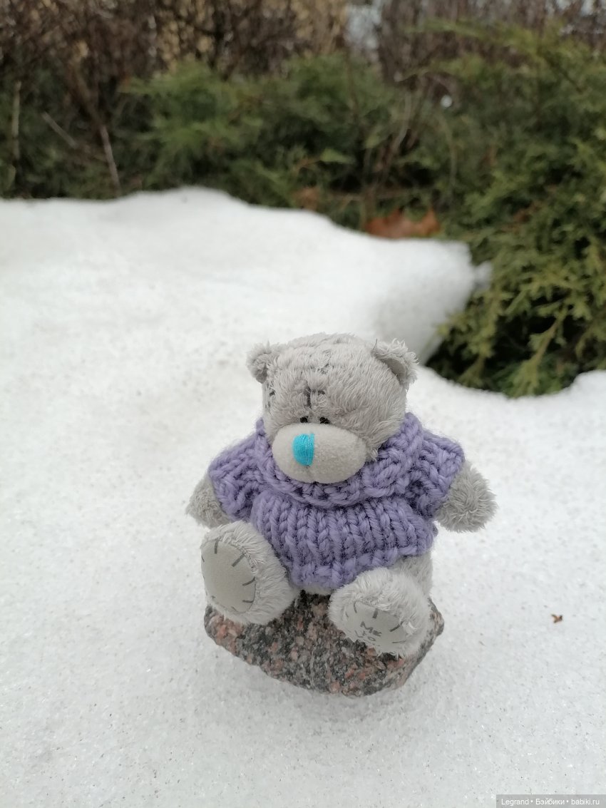 Санкт-Петербург. Январь: Барыш на прогулке