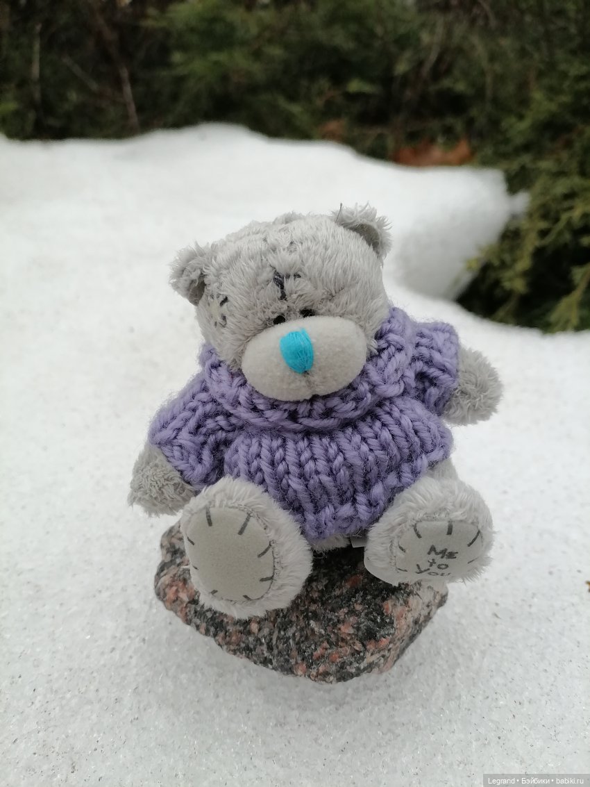 Санкт-Петербург. Январь: Барыш на прогулке