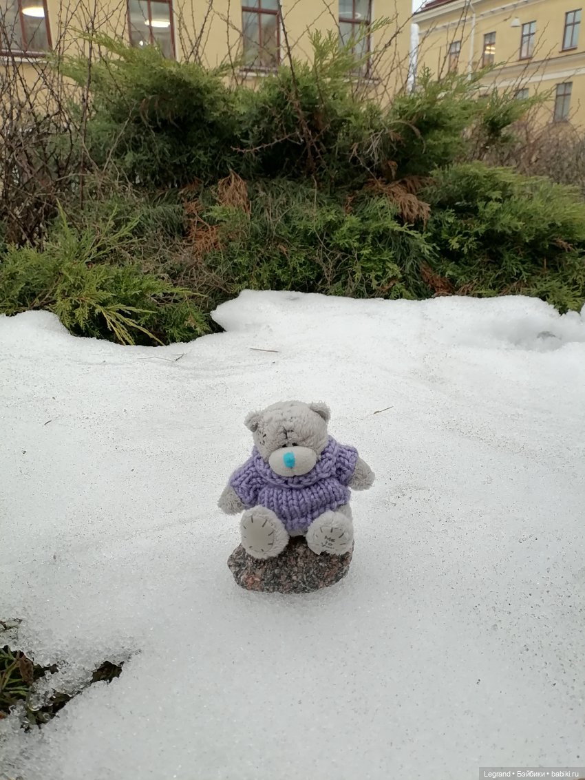 Санкт-Петербург. Январь: Барыш на прогулке