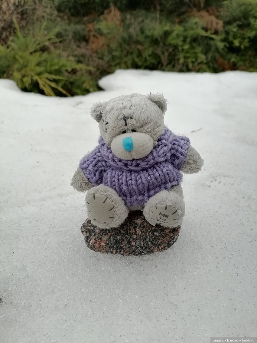 Санкт-Петербург. Январь: Барыш на прогулке