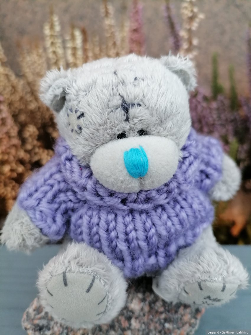 Санкт-Петербург. Январь: Барыш на прогулке (фото 8)