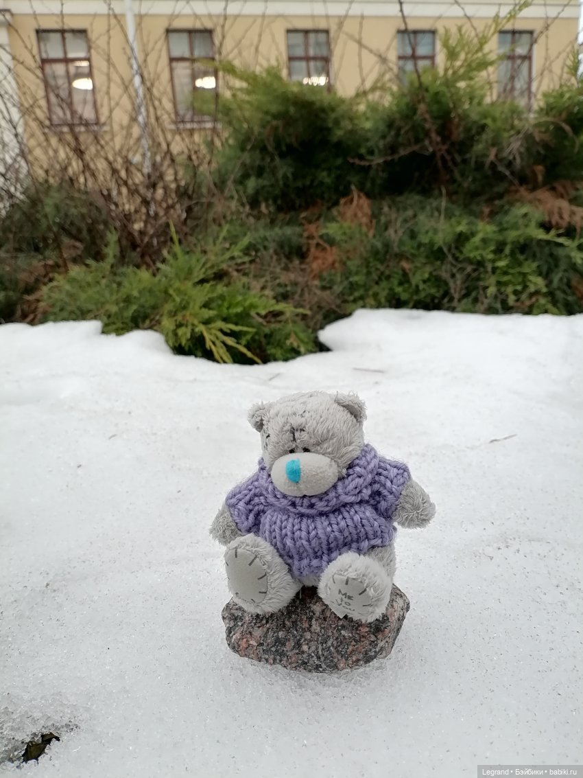 Санкт-Петербург. Январь: Барыш на прогулке