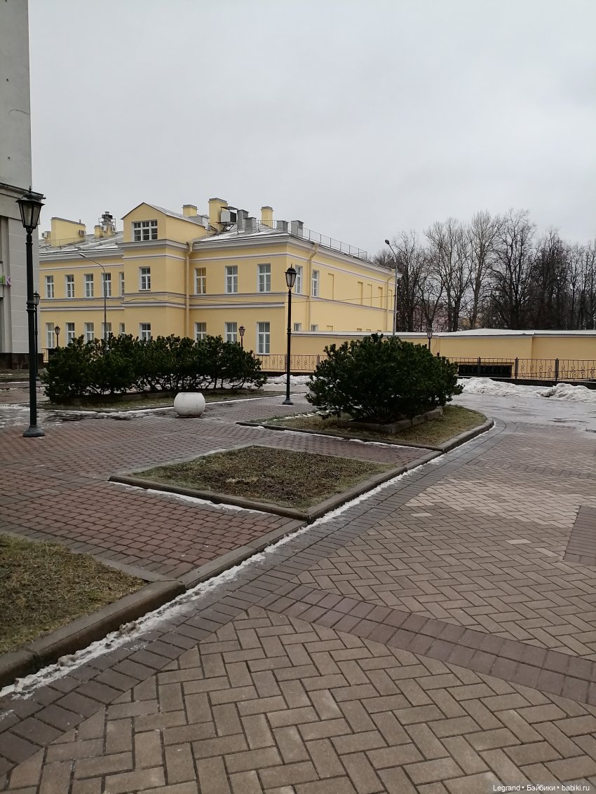 Санкт-Петербург. Январь: Барыш на прогулке