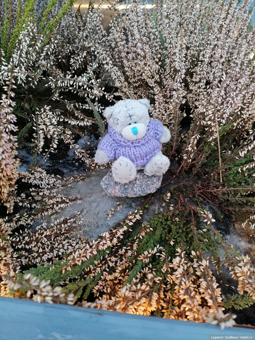 Санкт-Петербург. Январь: Барыш на прогулке (фото 2)