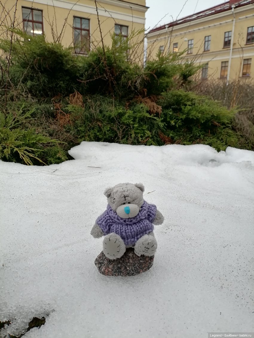 Санкт-Петербург. Январь: Барыш на прогулке