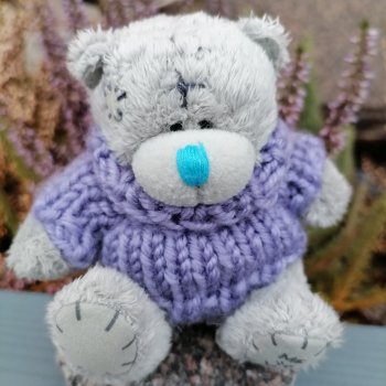 Санкт-Петербург. Январь: Барыш на прогулке