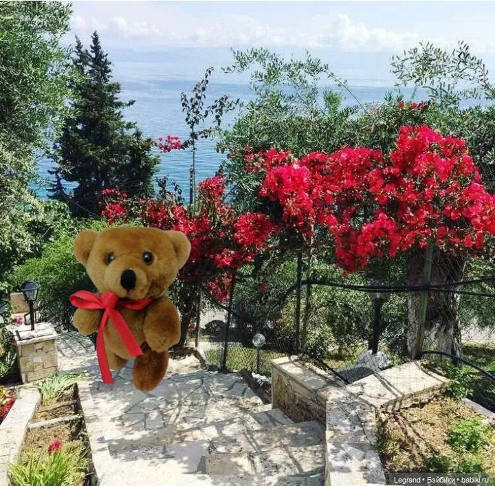 Мишель на отдыхе — Плюшевые мишки и игрушки (Teddy Bear): винтаж (фото 10)