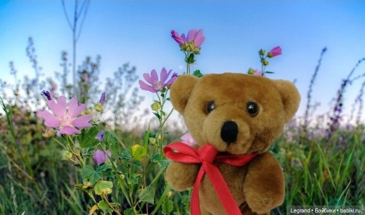 Мишель на отдыхе — Плюшевые мишки и игрушки (Teddy Bear): винтаж (фото 7)