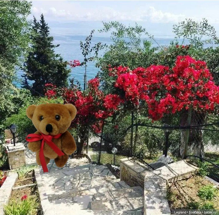 Мишель на отдыхе — Плюшевые мишки и игрушки (Teddy Bear): винтаж (фото 9)