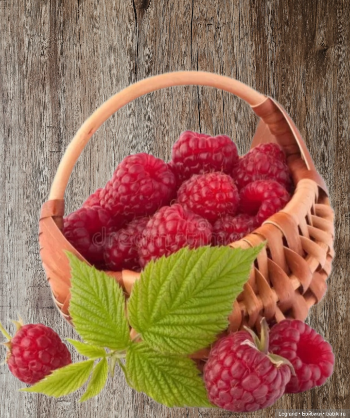 Мишель собирает ягоды🍓 — Плюшевые мишки и игрушки (Teddy Bear): винтаж