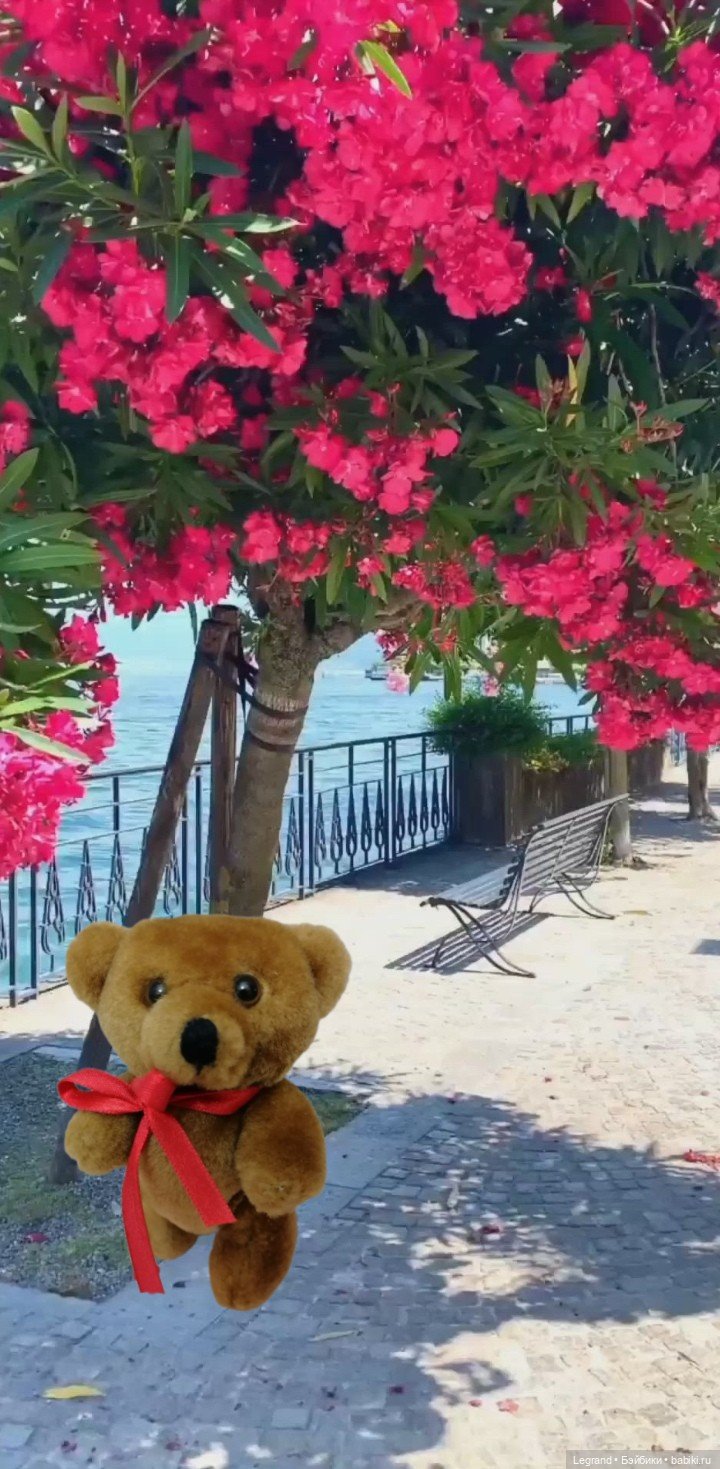 Мишель на отдыхе — Плюшевые мишки и игрушки (Teddy Bear): винтаж