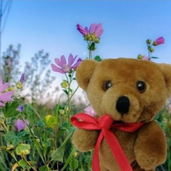 Мишель на отдыхе