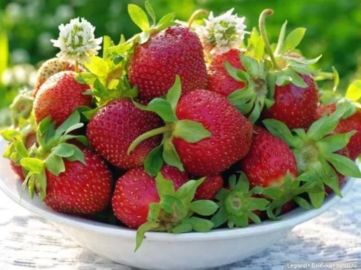 Мишель собирает ягоды🍓 — Плюшевые мишки и игрушки (Teddy Bear): винтаж (фото 10)