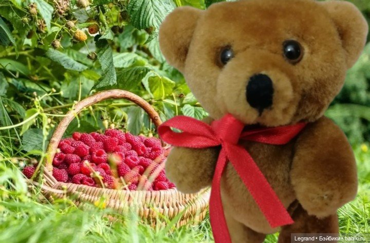 Мишель собирает ягоды🍓 — Плюшевые мишки и игрушки (Teddy Bear): винтаж