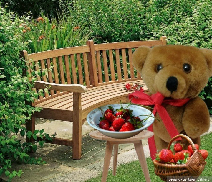 Из жизни моих мишек: Мишель и Гюлиз (фото 3)