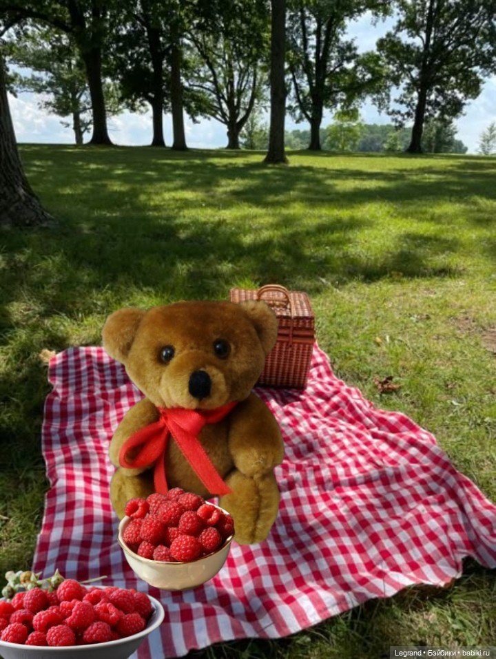 Мишель собирает ягоды🍓 — Плюшевые мишки и игрушки (Teddy Bear): винтаж