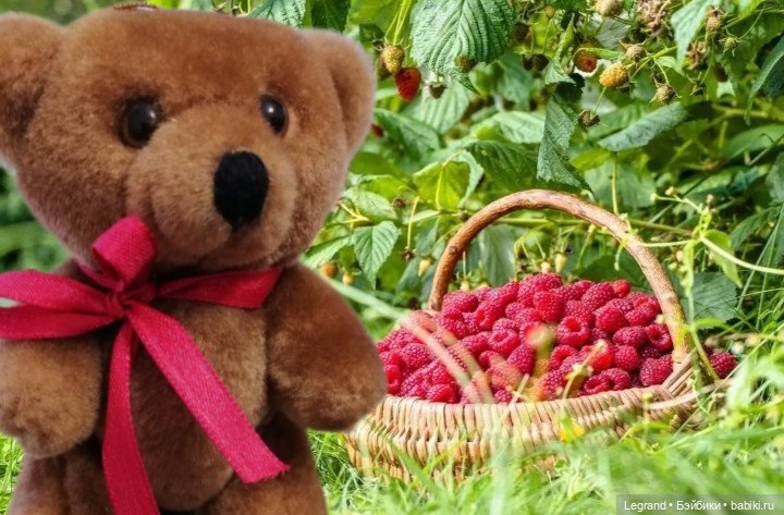 Мишель собирает ягоды🍓 — Плюшевые мишки и игрушки (Teddy Bear): винтаж