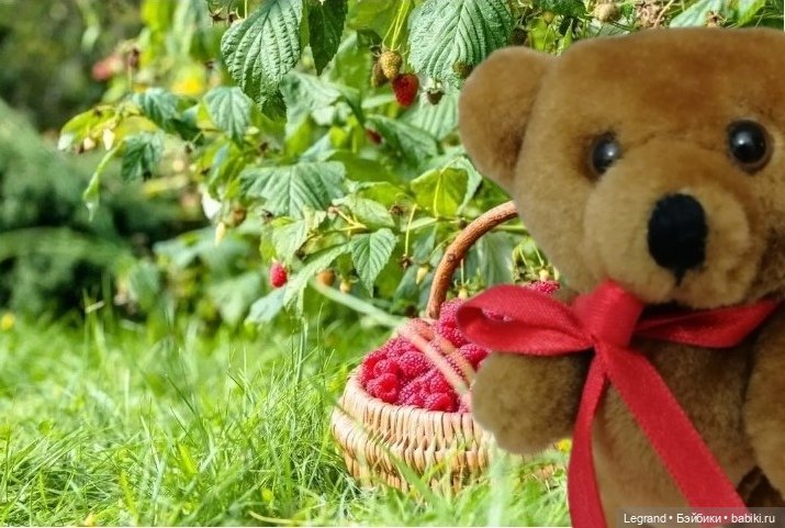 Мишель собирает ягоды🍓 — Плюшевые мишки и игрушки (Teddy Bear): винтаж