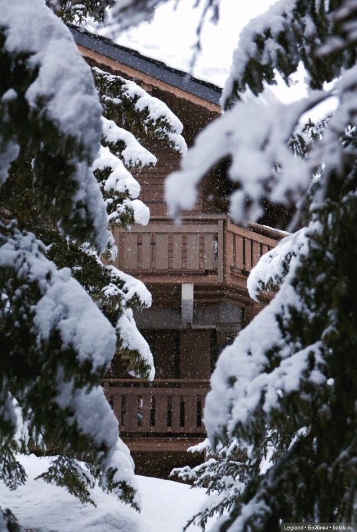 Из жизни моих мишек: Мишель и Гюлиз (фото 6)