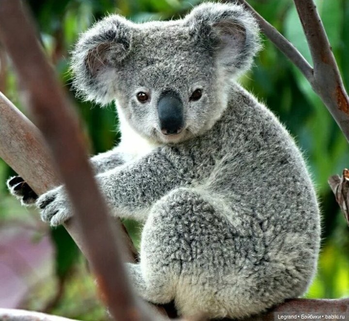 Санкт-Петербург. Прогулка с Гюлиз