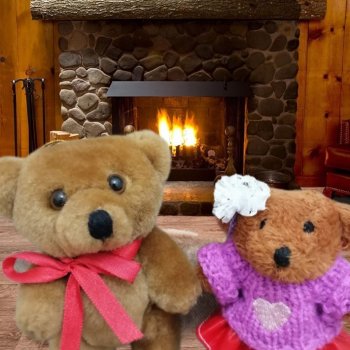 Из жизни моих мишек: Мишель и Гюлиз