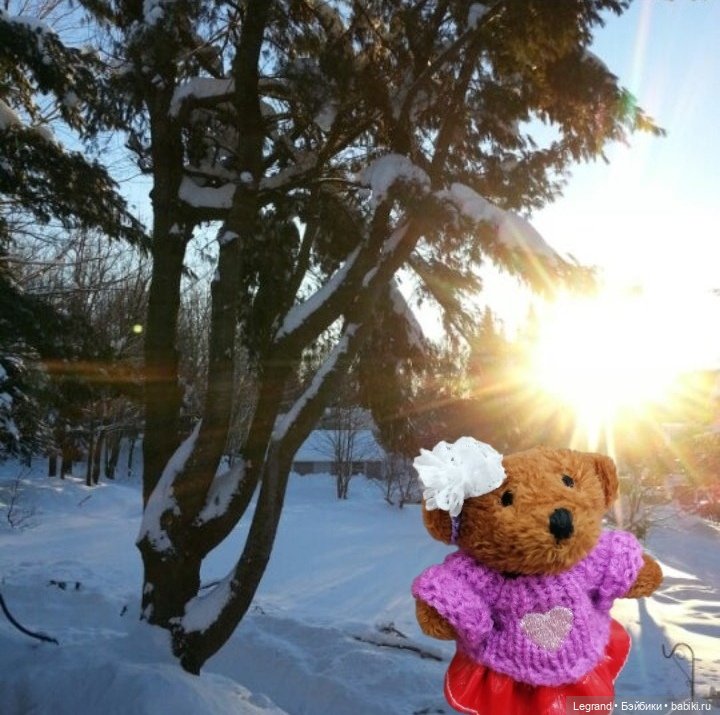 Из жизни моих мишек: Гюлиз и снег