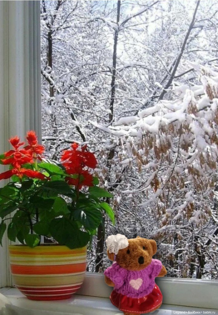 Из жизни моих мишек: Гюлиз и снег