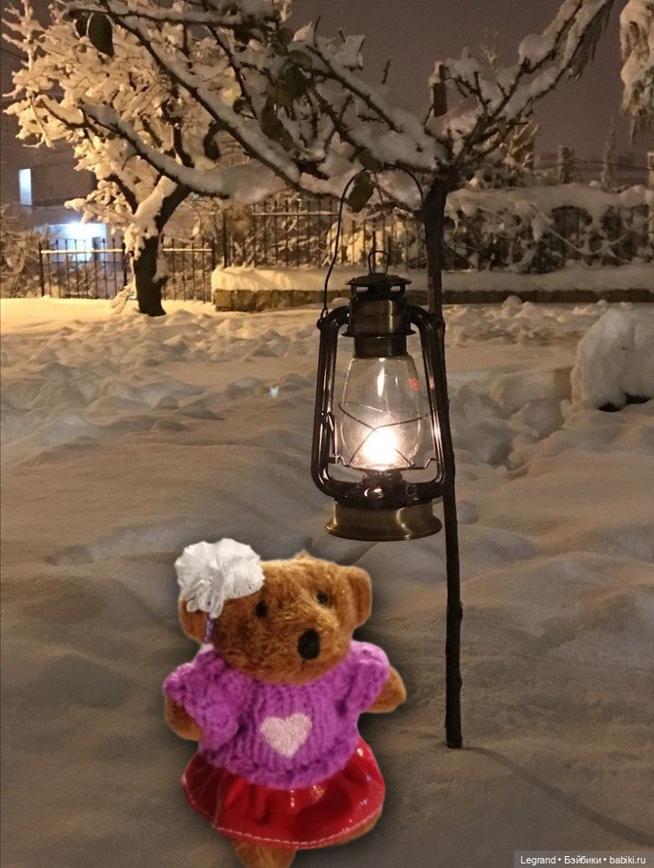 Из жизни моих мишек: Гюлиз и снег