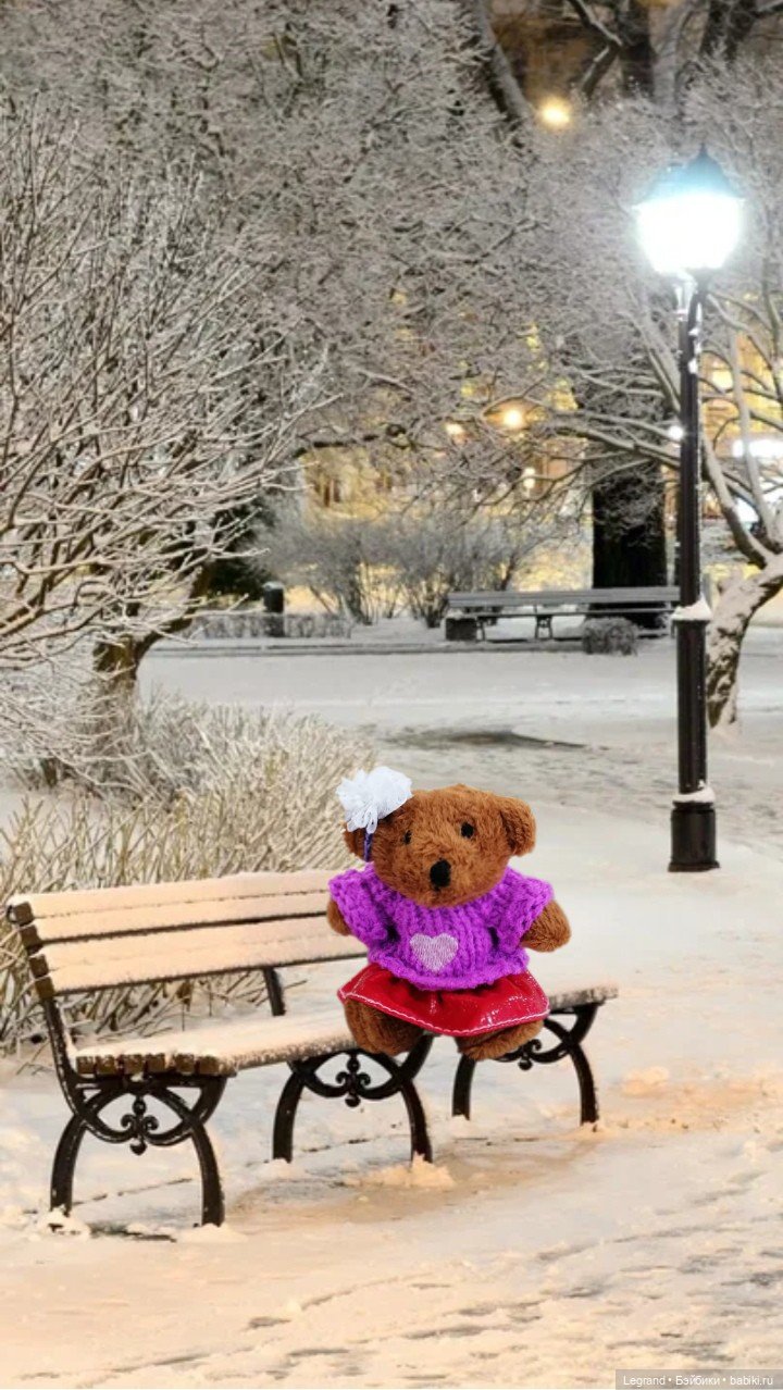 Из жизни моих мишек: Гюлиз и снег (фото 10)