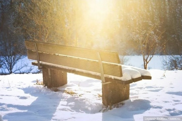 Из жизни моих мишек: Гюлиз и снег (фото 7)