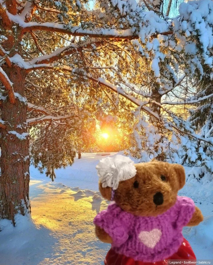 Из жизни моих мишек: Гюлиз и снег