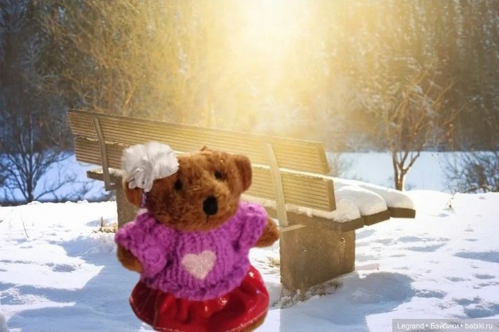 Из жизни моих мишек: Гюлиз и снег (фото 8)