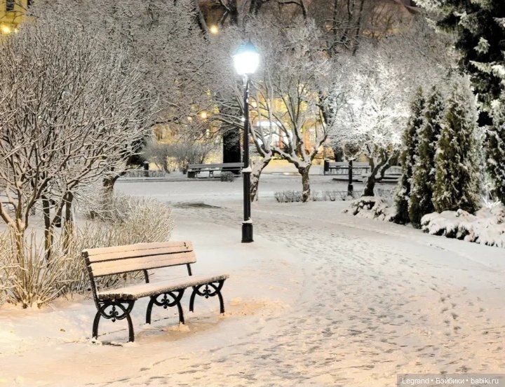 Из жизни моих мишек: Гюлиз и снег (фото 9)