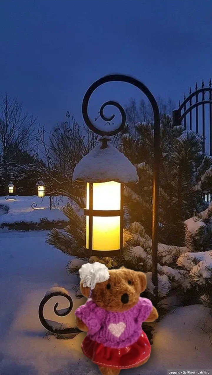 Из жизни моих мишек: Гюлиз и снег (фото 3)